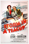 茶杯里的风暴 Storm in a Teacup 