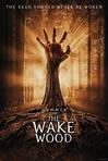 醒木 Wake Wood 