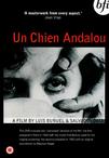 一条安达鲁狗 Un chien andalou 