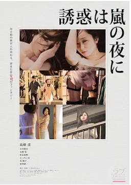 雨夜的诱惑 誘惑は嵐の夜に (2016) 