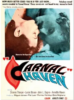 肉身避风港 Carnal Haven (1975) 