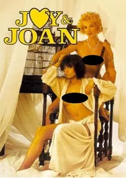 茹娃与若昂 Joy et Joan (1985) 