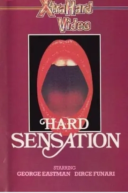 迷情感觉 Hard Sensation (1980) 