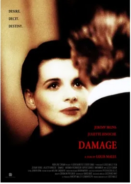 烈火情人 Damage (1992) 